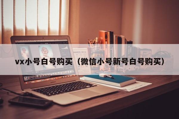 vx小号白号购买（微信小号新号白号购买）