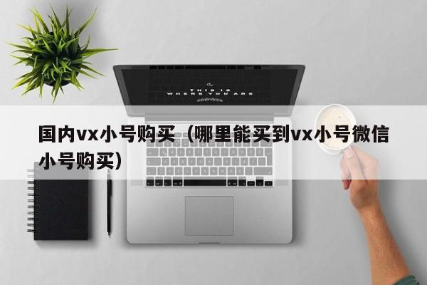 国内vx小号购买（哪里能买到vx小号微信小号购买）