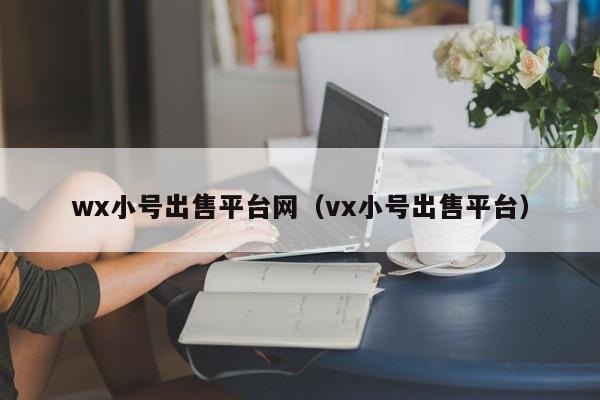 wx小号出售平台网（vx小号出售平台）