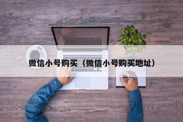 微信小号购买（微信小号购买地址）